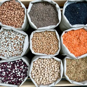 Seeds