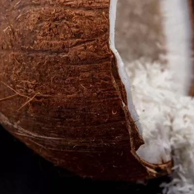 Coconut